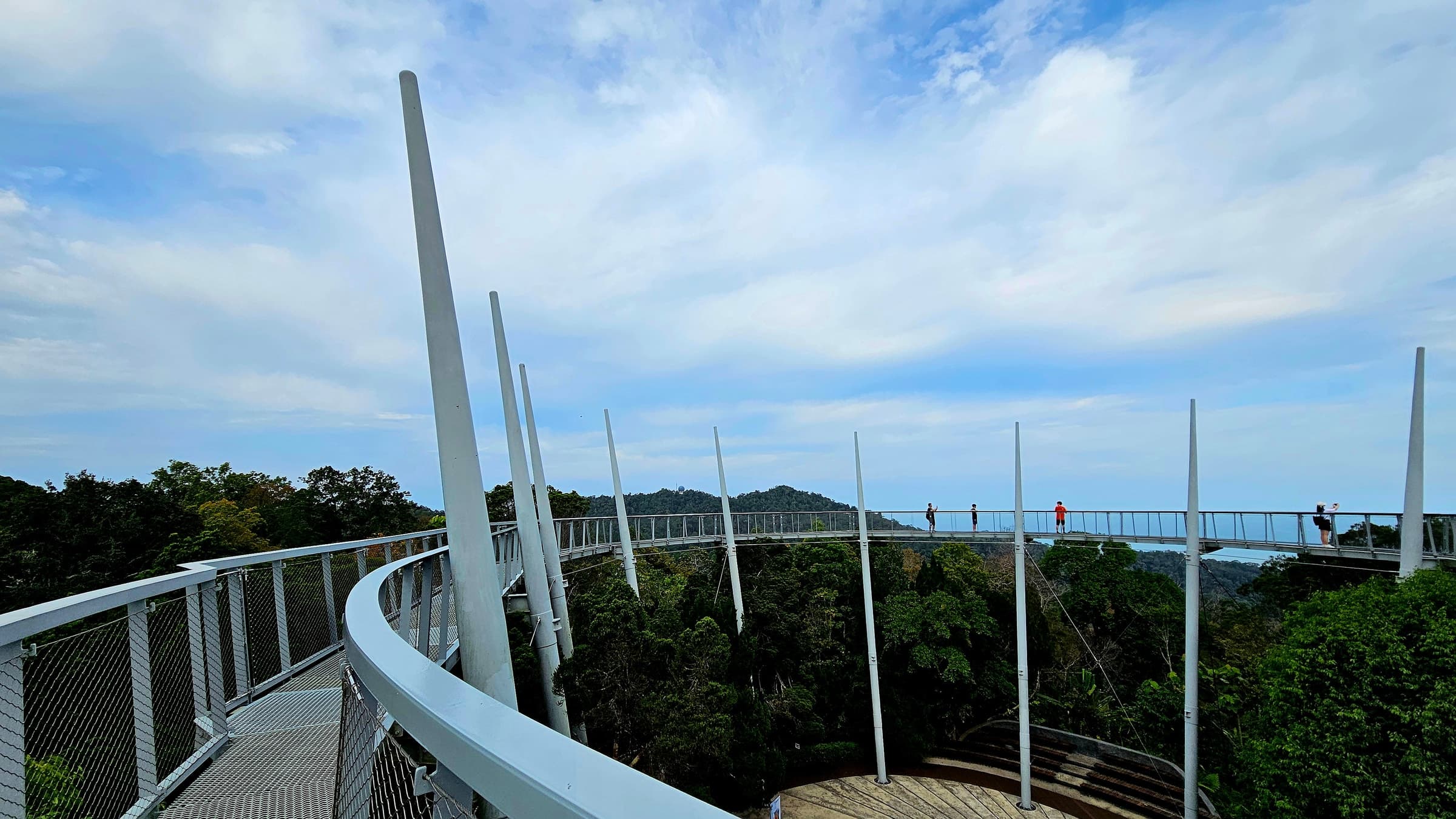 The curved tree-top walkway winding above the rainforest canopy at the top of Penang Hill